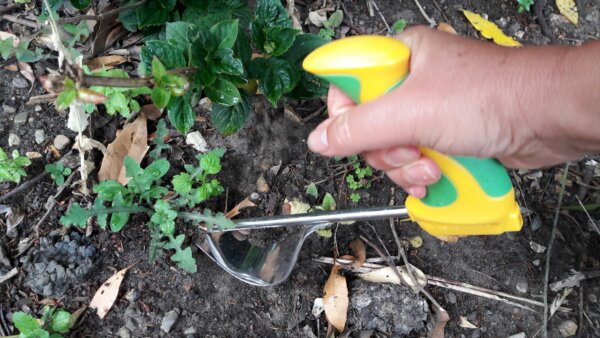 Easi-Grip weeder in use with weeds in garden