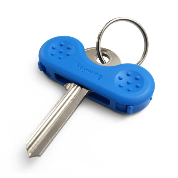 Blue Keywing on key